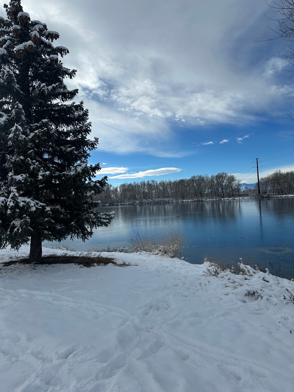 Reiki & Sound Bath&nbsp;Healing